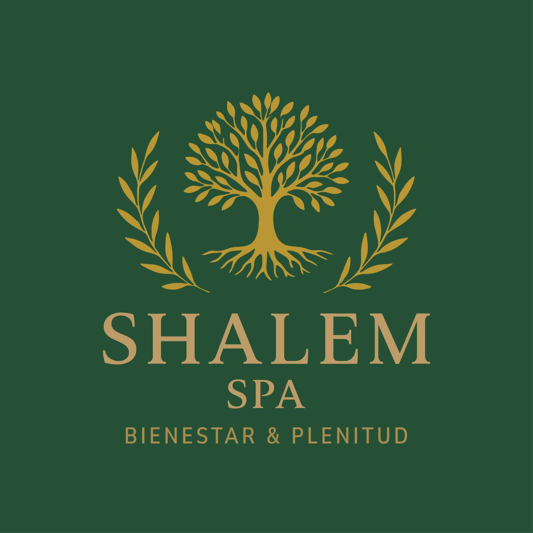 Logo Shalem Spa